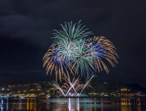 Firework Display