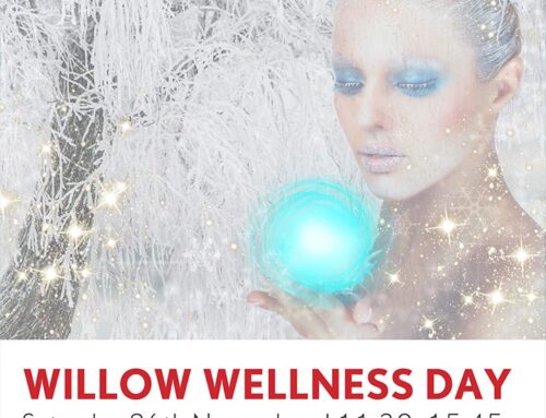 The Rockfield Center Willow Wellness Day Saturday 26th November